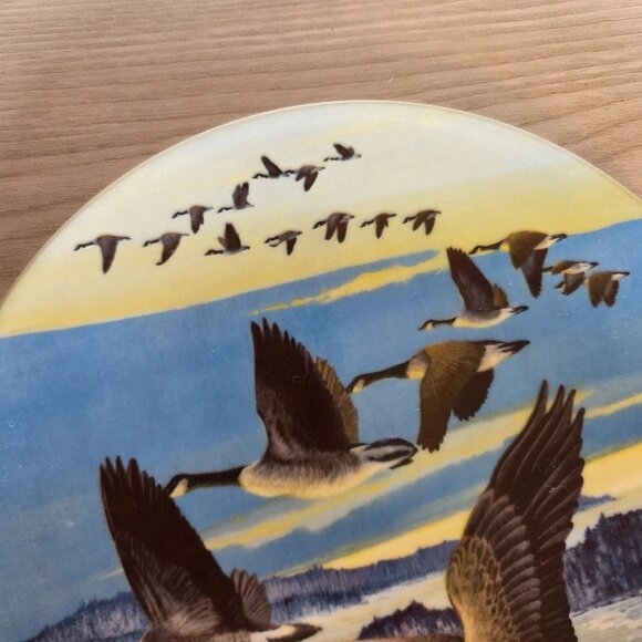 Vintage Dominion China 87 Southward Bound Limited Edition Collector Plate 9573C - Picture 2 of 7